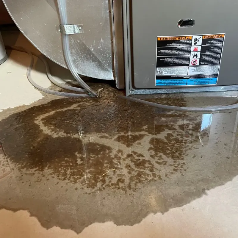 Pipe Burst and Leak Restoration in New Haven, IN